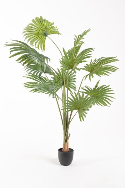 Plante Artificielle Palmier Fan 1.20 cm